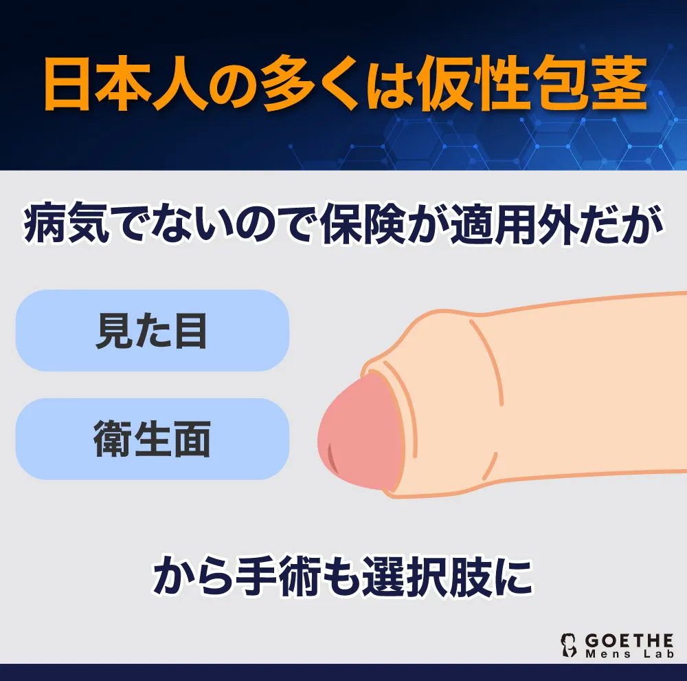 2024年】包茎手術のおすすめクリニック13院！ 後悔しない選び方、費用や手術方法を比較 | GOETHE Mens Lab