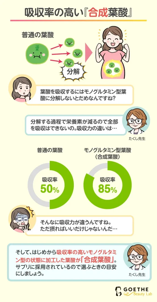 葉酸は種類で吸収率が違う