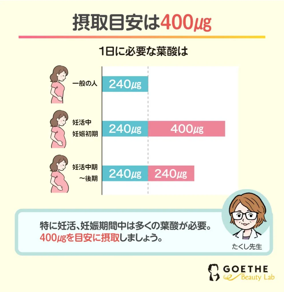 必要な葉酸の量