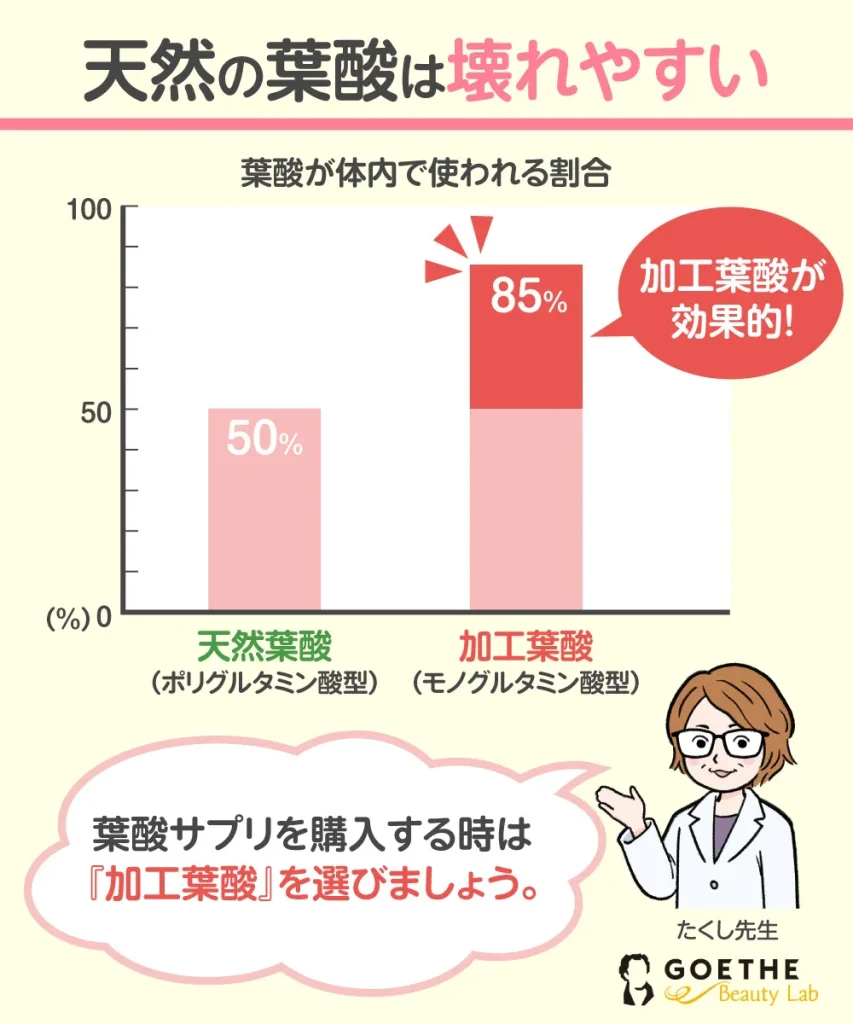 葉酸は天然より加工したものの方が良い