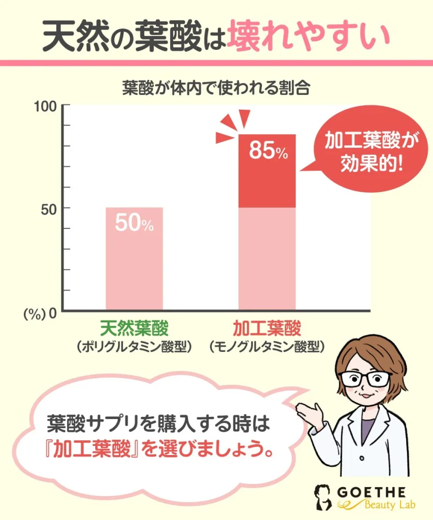 葉酸は天然より加工したものの方が良い