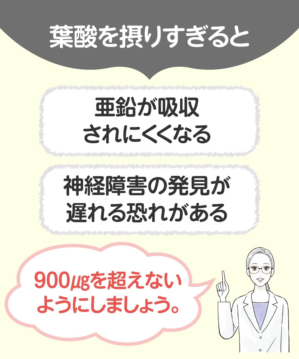 葉酸を摂りすぎると…①亜鉛が吸収されにくくなる②神経障害の発見が遅れる恐れがある→900㎍を越えないようにしましょう