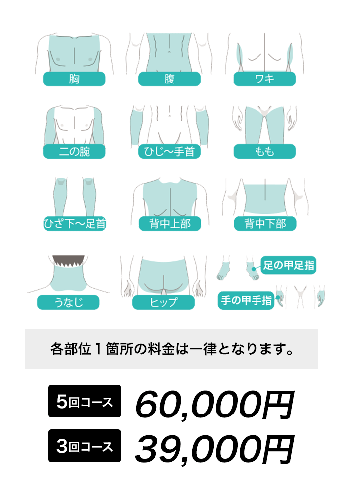 各部位１箇所の料金は一律となります。