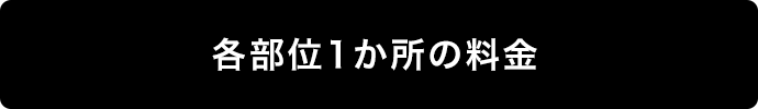 各部位1か所の料金